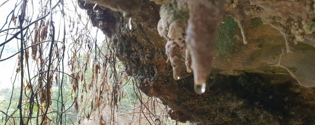Cedar Glen Cave Hike