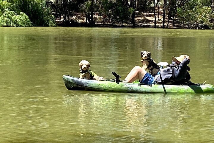 Kayak self-guided tour on the Campaspe River Elmore, 30 minutes from Bendigo