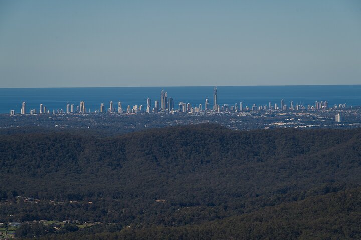 Kangaroos and Mountain Views Day Tour from Gold Coast