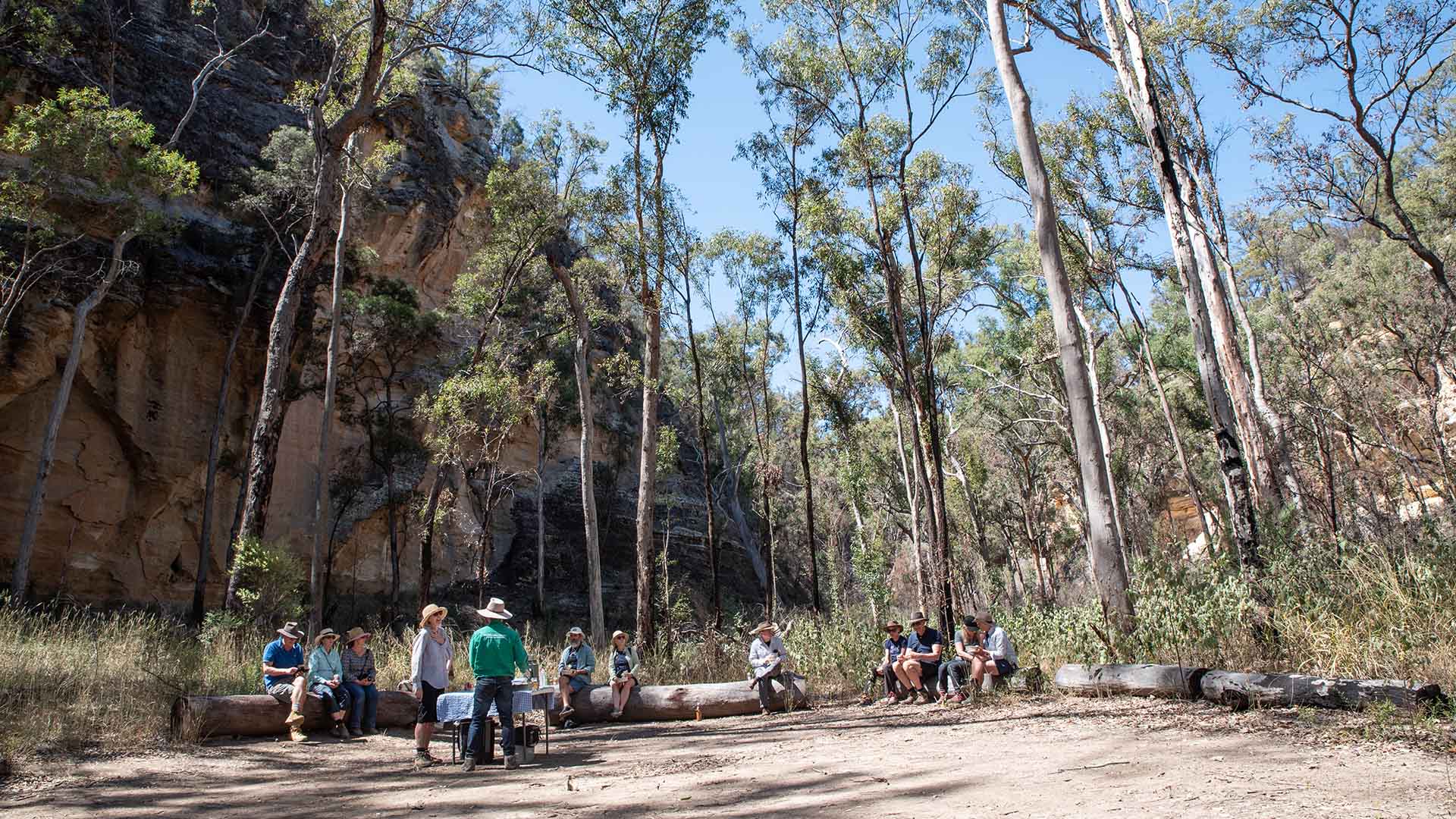 Lost World Carnarvons (Wallaroo)