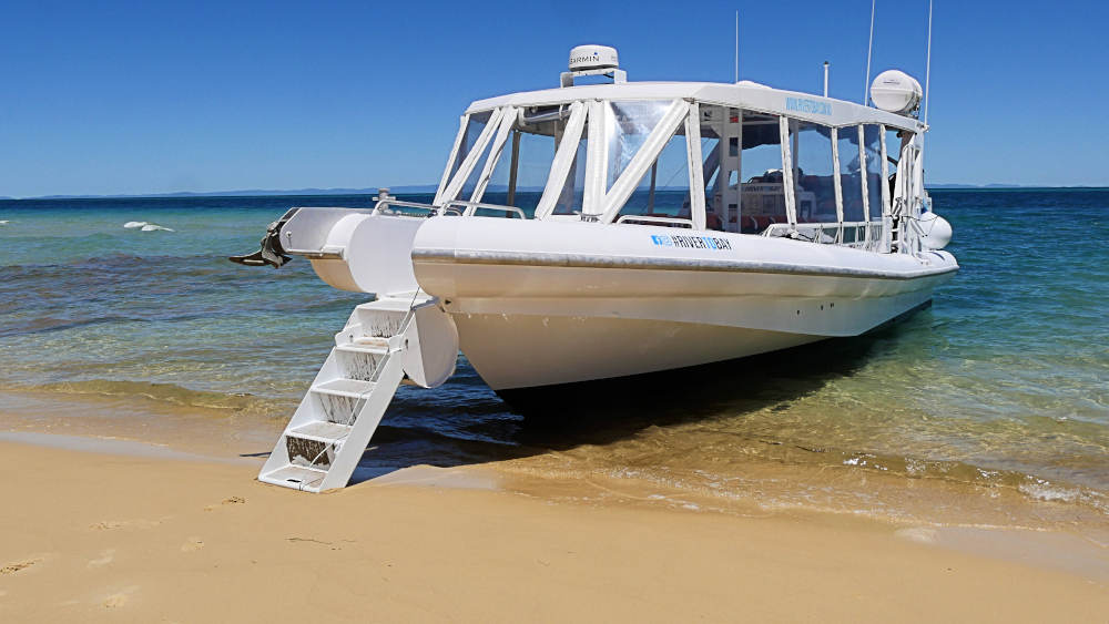 day cruise on tangalooma