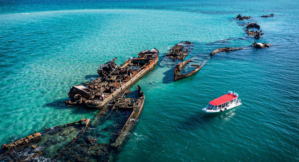 Tangalooma Day Cruise