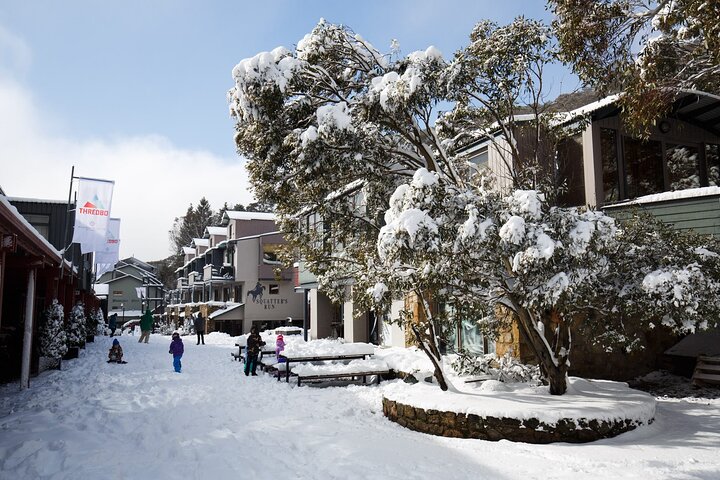 1 Day Thredbo Snow Tour From Sydney