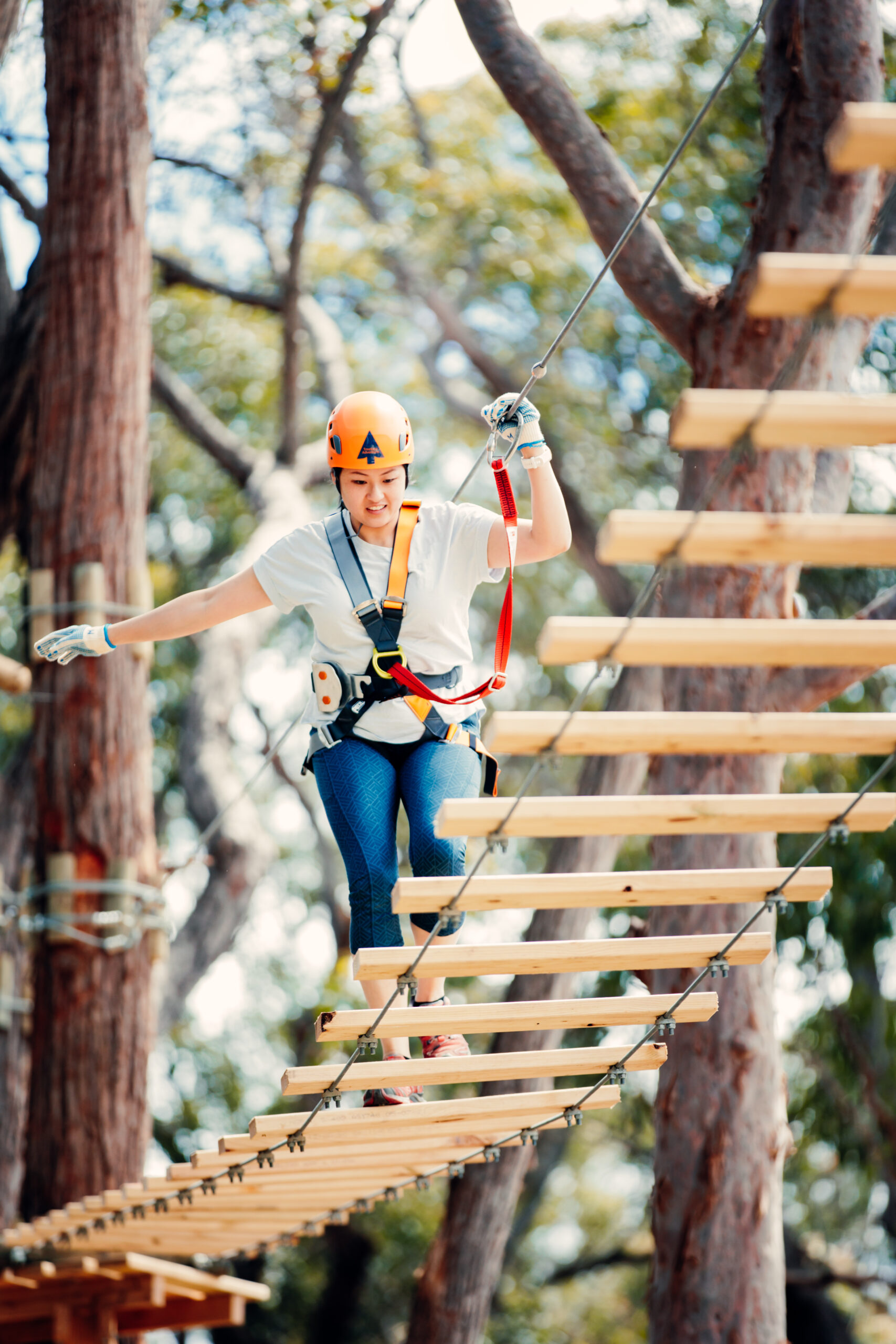 Tree Ropes Course