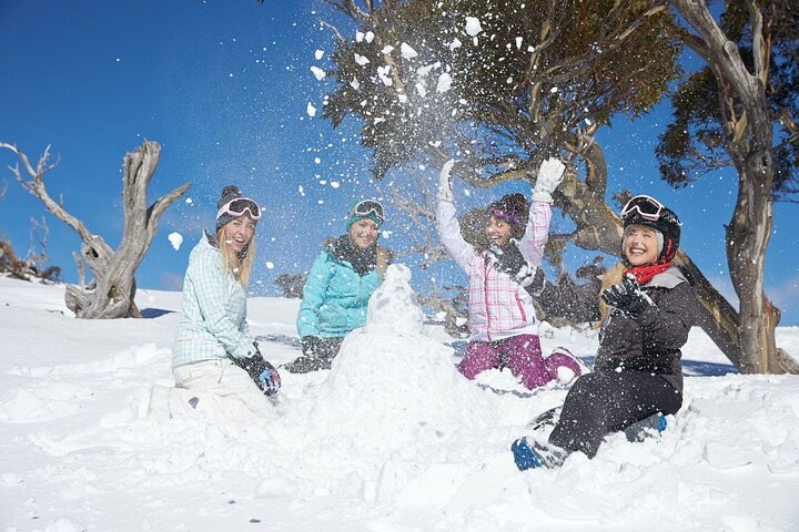 1 Day Thredbo Snow Tour From Sydney