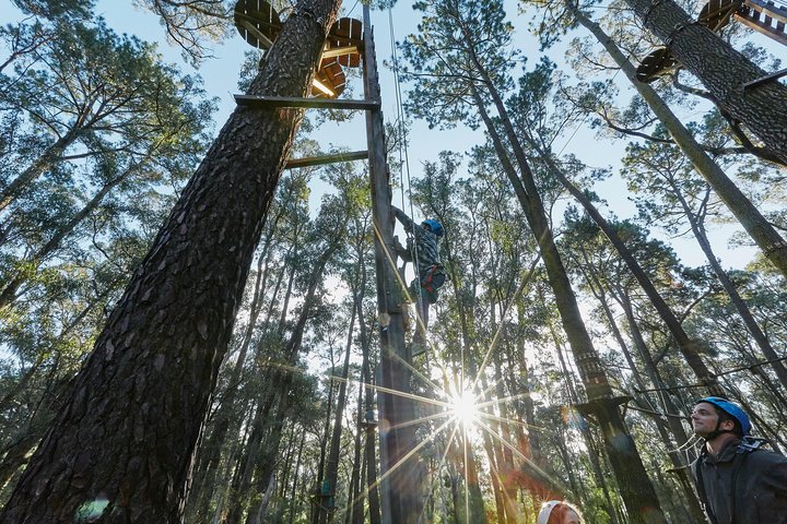 Busselton High Ropes and Zipline Adventure