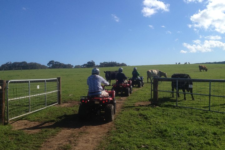 Waitpinga Farm Quad-Bike Tour