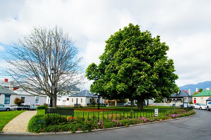 Private Hobart Walking Tour