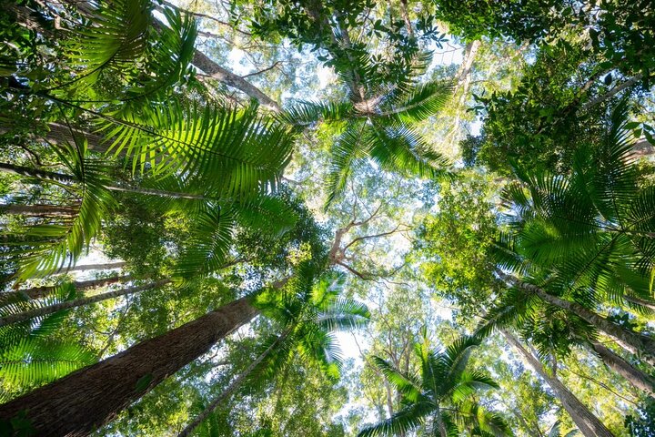 2-Day K'gari (Fraser Island) 4WD Tour from Rainbow Beach