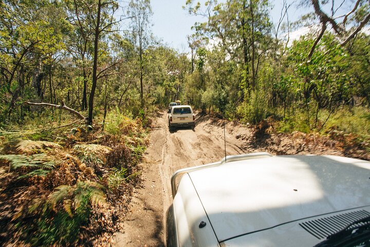 Dingos 3 Day K'Gari (Fraser Island) ​4WD Tag-Along Tour