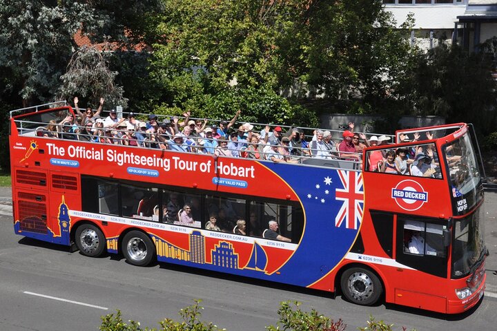 Hobart Hop-On Hop-Off Bus & Zoodoo Zoo Tour