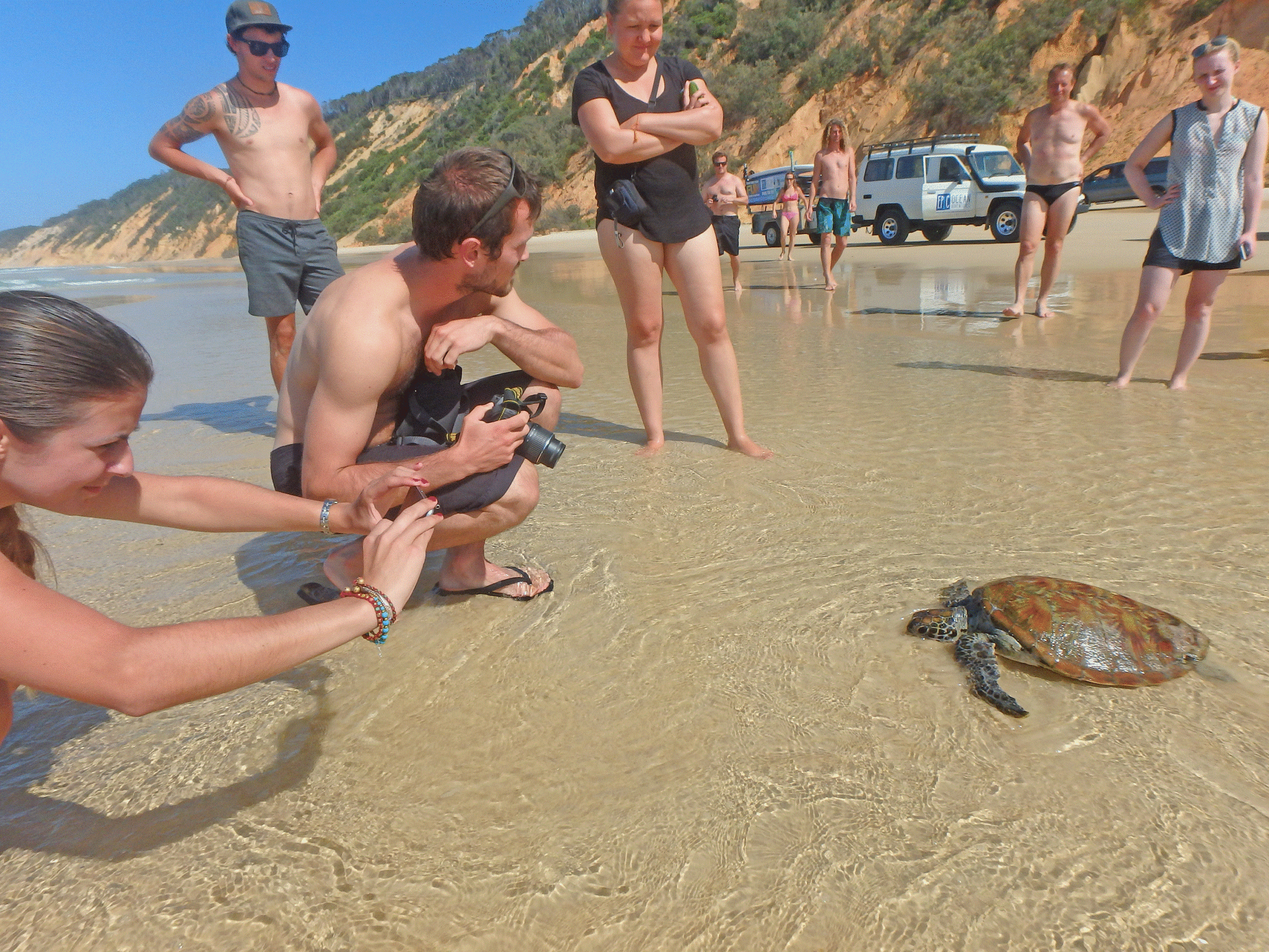 Stand Up Paddle Wildlife Tour & Beach 4x4 Day Trip- Noosa