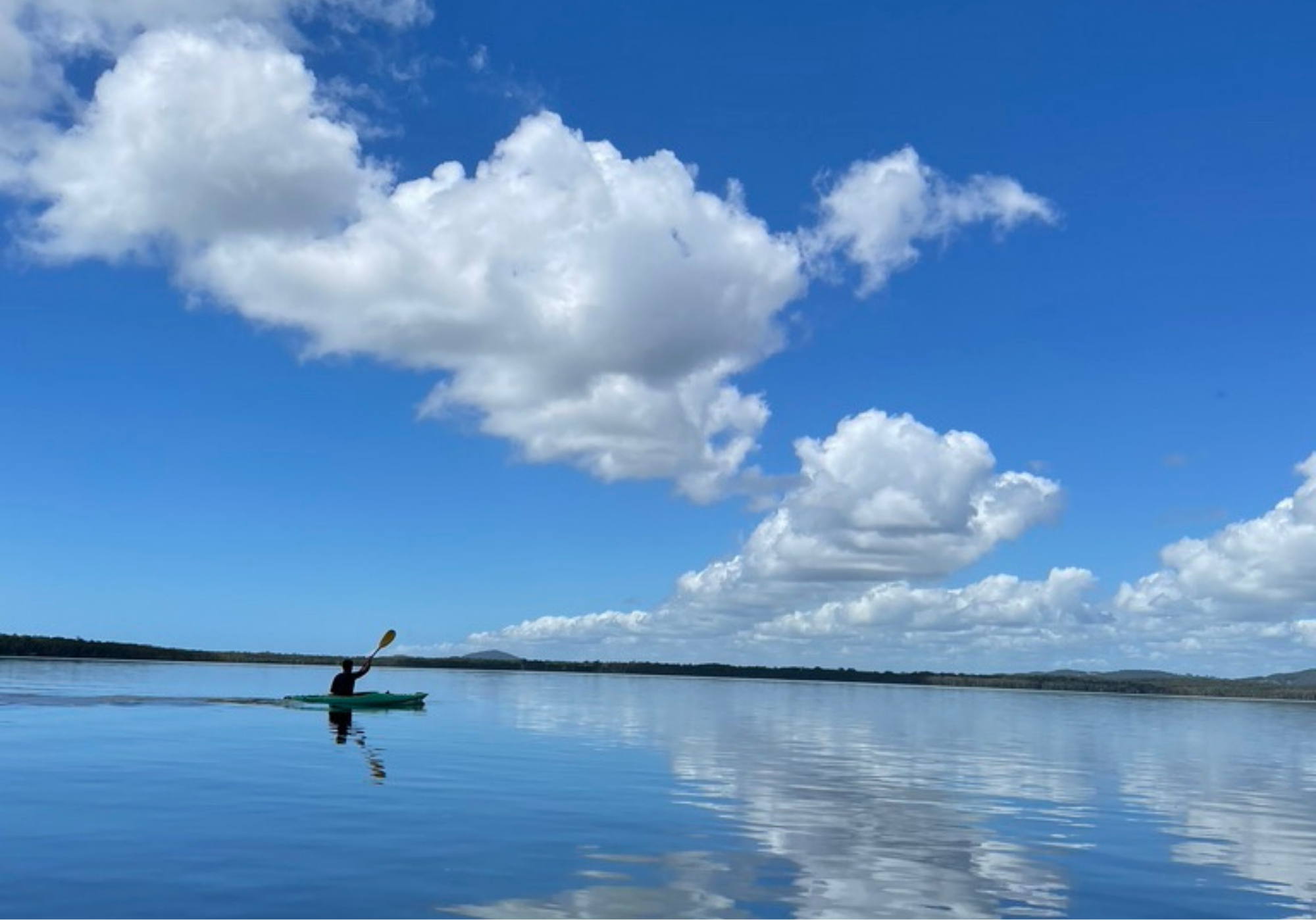 Kayaks & Stingrays: discover hidden creeks whilst spotting Stingrays