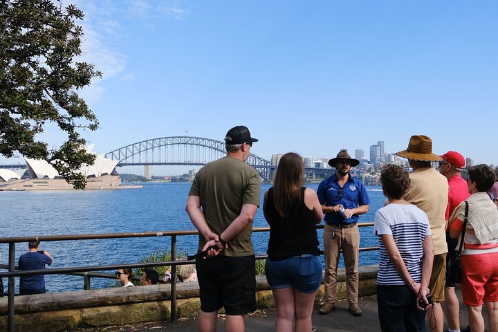 Morning or Afternoon Half-Day Sydney City Sightseeing Tour