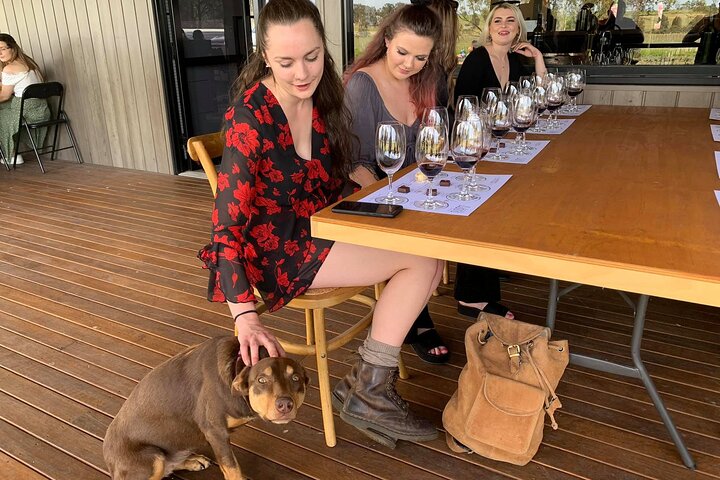 Hunter Valley Small Group Wine, Gin, Cheese & Chocolate Tour from Sydney