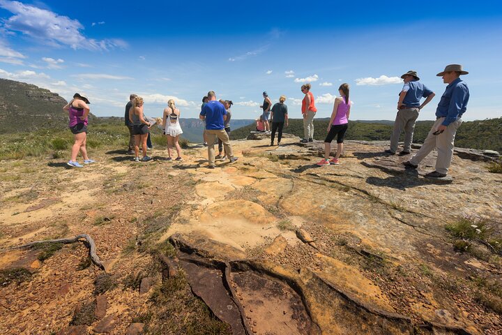 Blue Mountains Deluxe Small-Group Eco Wildlife Tour from Sydney