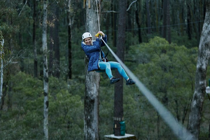 Busselton High Ropes and Zipline Adventure