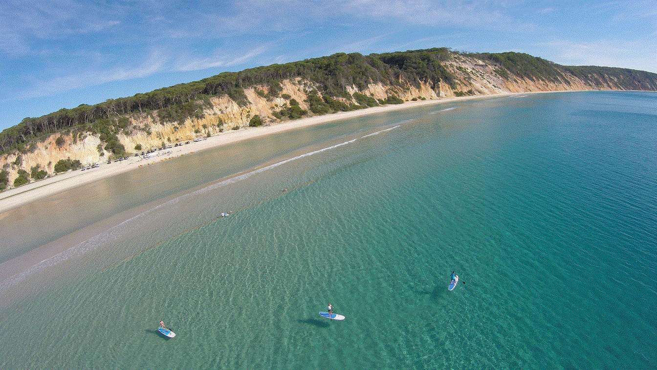 Stand Up Paddle Wildlife Tour & Beach 4x4 Day Trip- Noosa