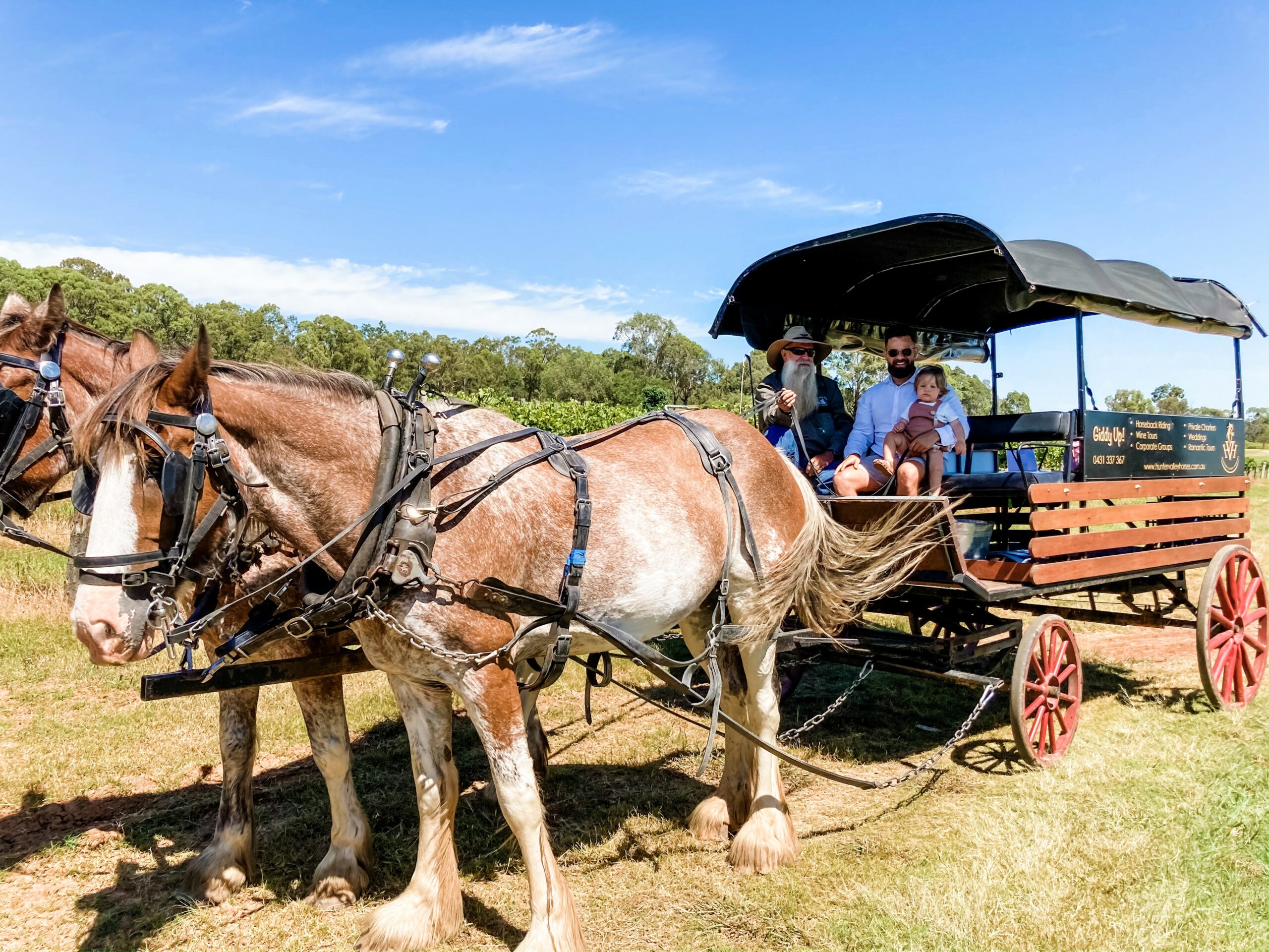 Taste The Valley - FULL DAY Horse Carriage Wine Tour with Lunch