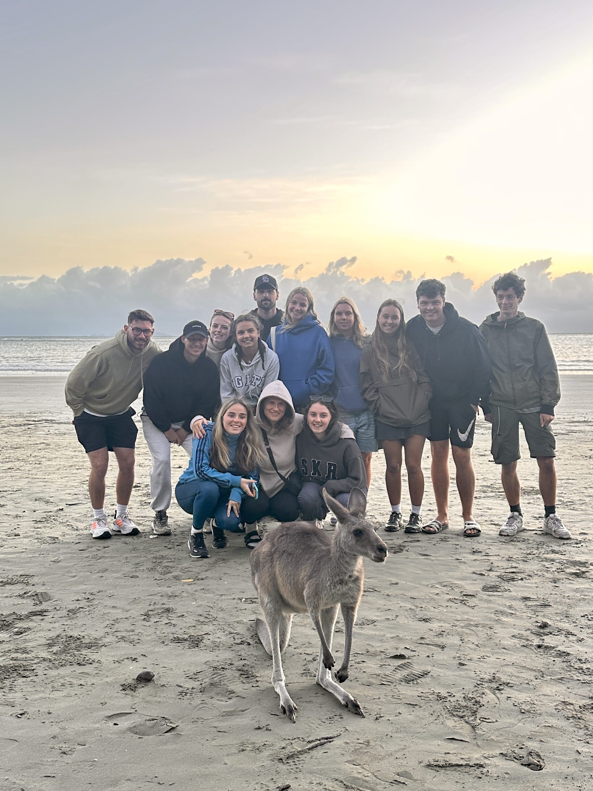 Beach Sunrise with the Wallabies