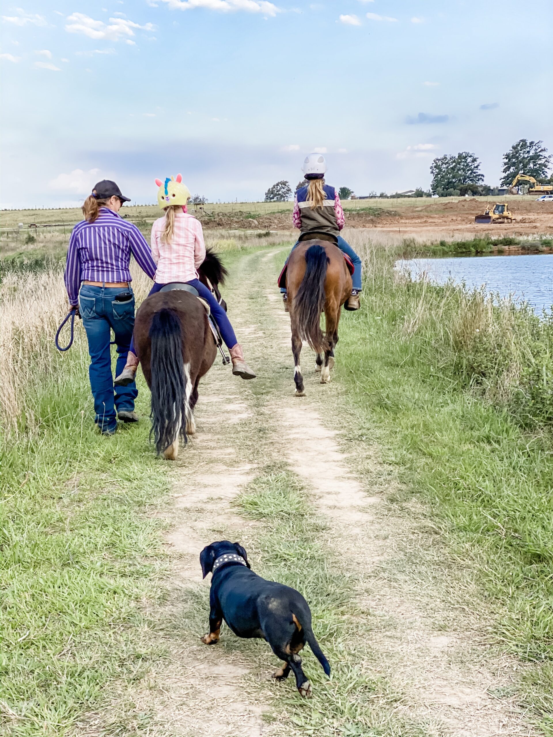 20-minute Child Lead Farmland Pony Trek