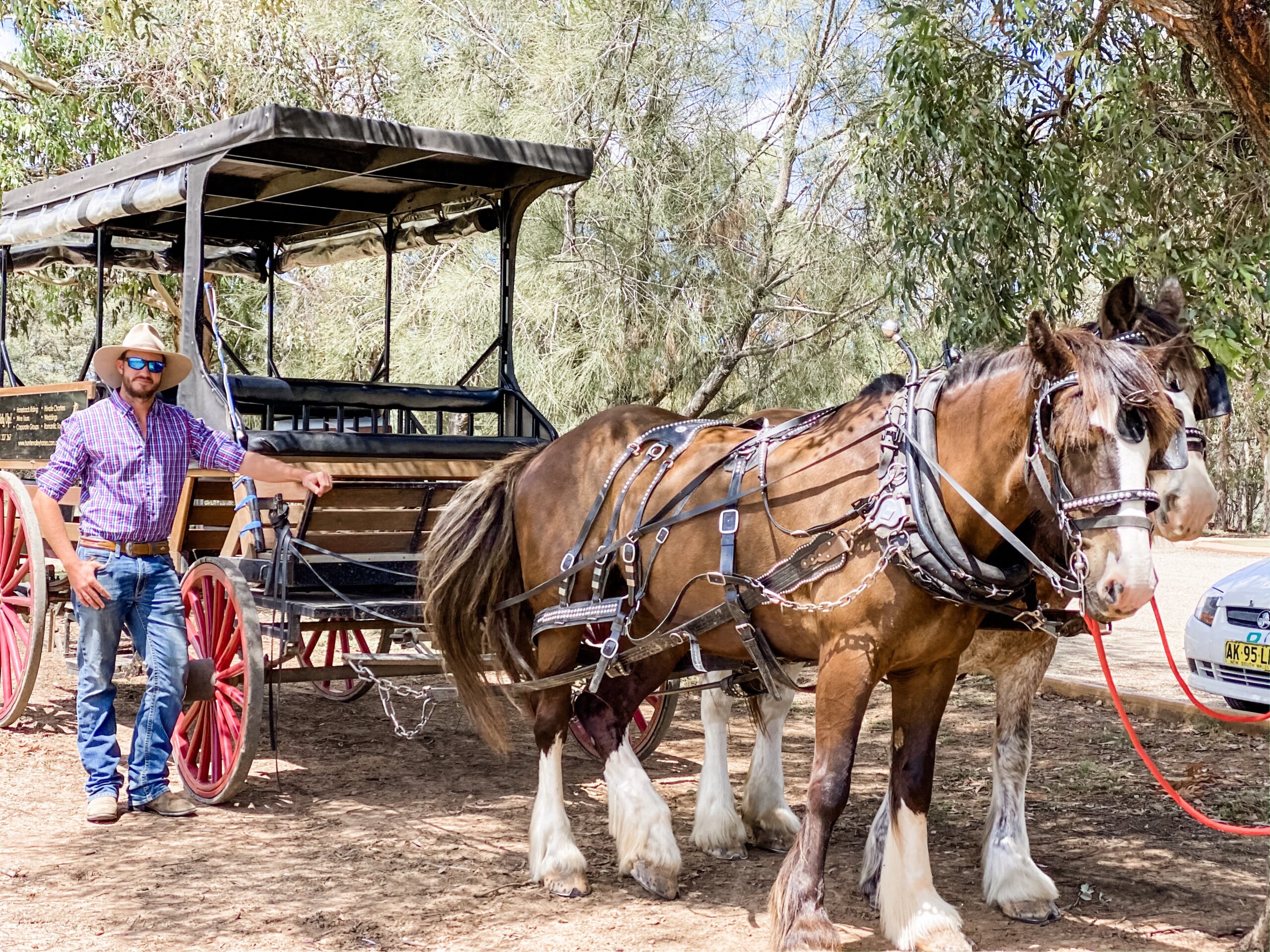 Harvest the Hunter Horse and Carriage Wine and Produce Tour