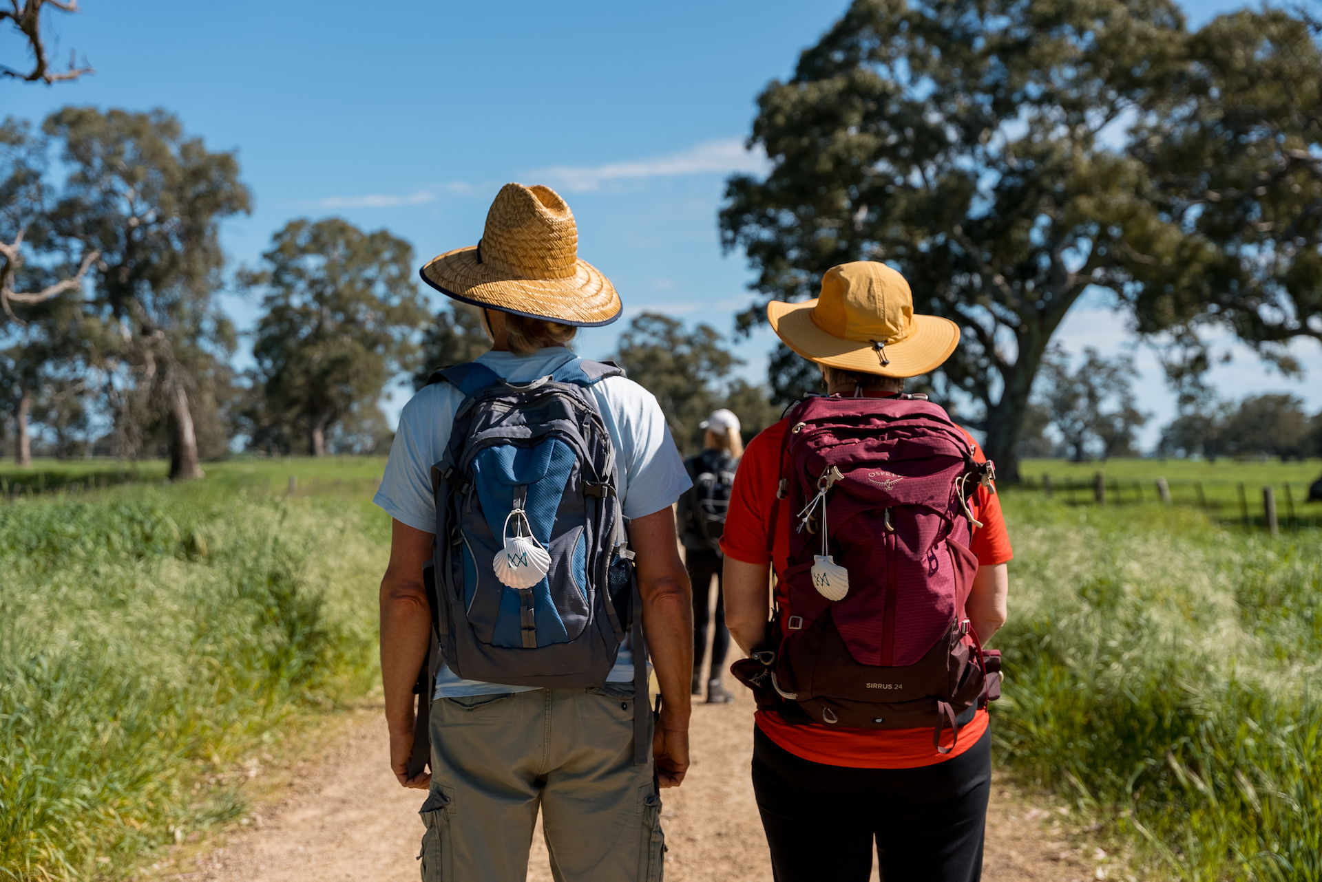 Aussie Camino