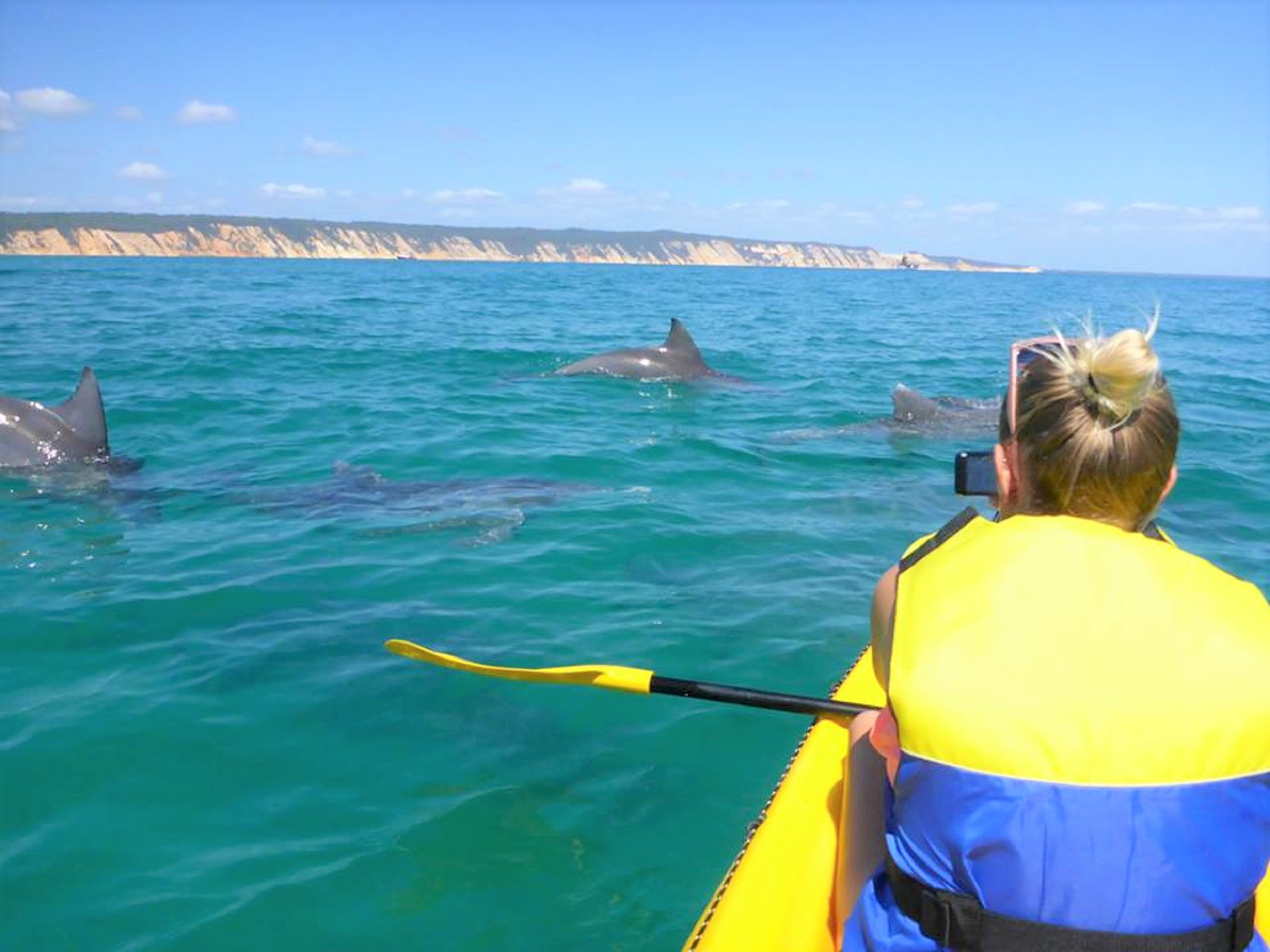 Noosa Dolphin View Sea Kayak & Beach 4X4 Adventure –  Day Tour
