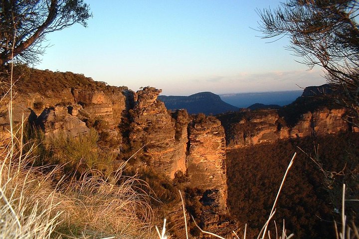 Blue Mountains Deluxe Small-Group Eco Wildlife Tour from Sydney