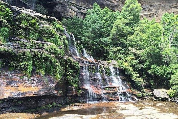 Beauty of the Blue Mountains Private Tour