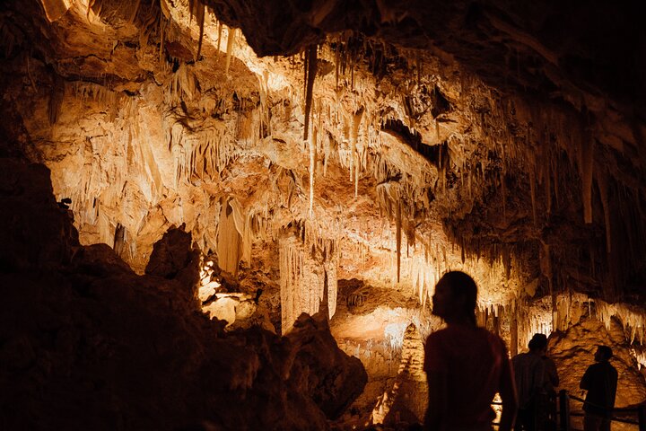 Self-Guided Ngilgi Cave Ancient Lands Experience