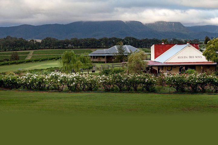 Hunter Valley Highlights Private Wine Tour from Sydney