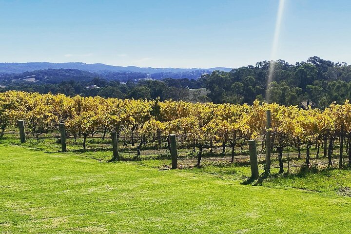 Full Day Private Tour including 2 tastings each passenger* - Adelaide Hills