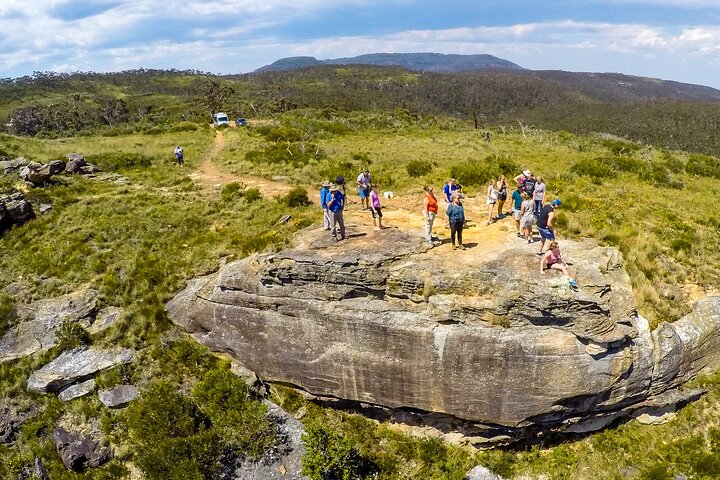 Blue Mountains Deluxe Small-Group Eco Wildlife Tour from Sydney