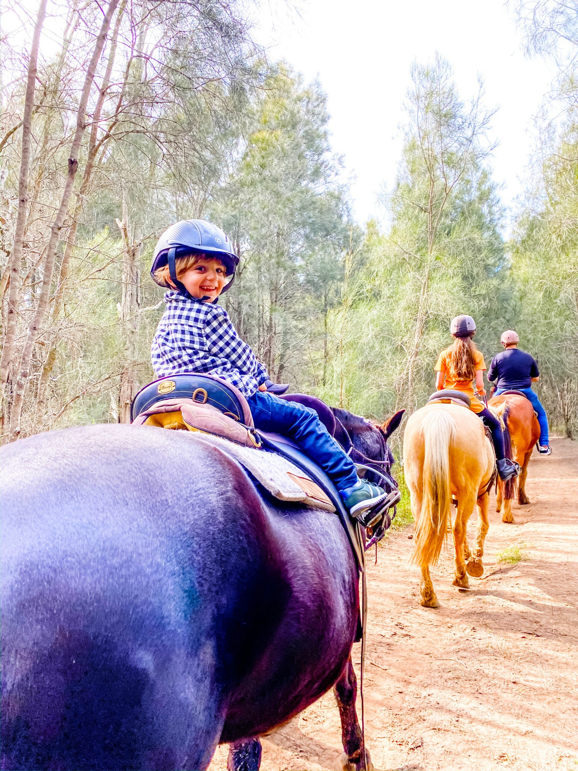 30-minute Family Horse Ride - Bushland Trail