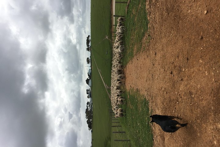 Waitpinga Farm Quad-Bike Tour