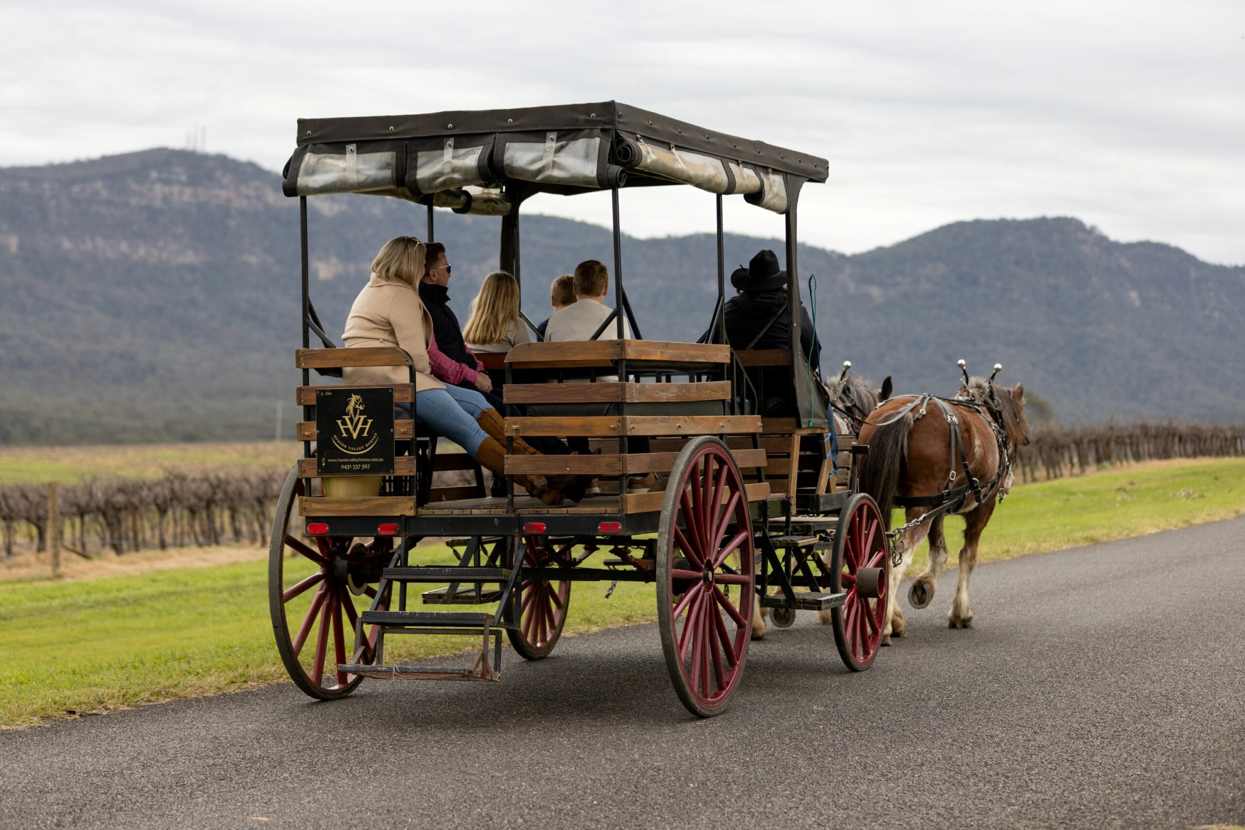 45-minute Horse-Drawn Carriage Ride