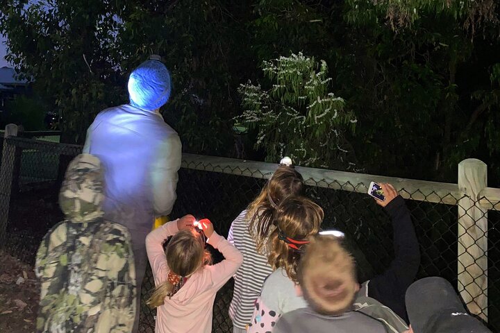 Small-Group Nocturnal Discovery Tour in Mandurah