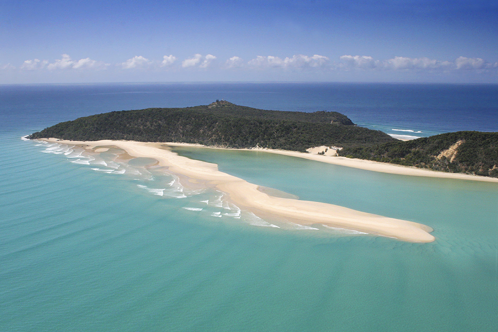 Stand Up Paddle Wildlife Tour & Beach 4x4 Day Trip- Noosa