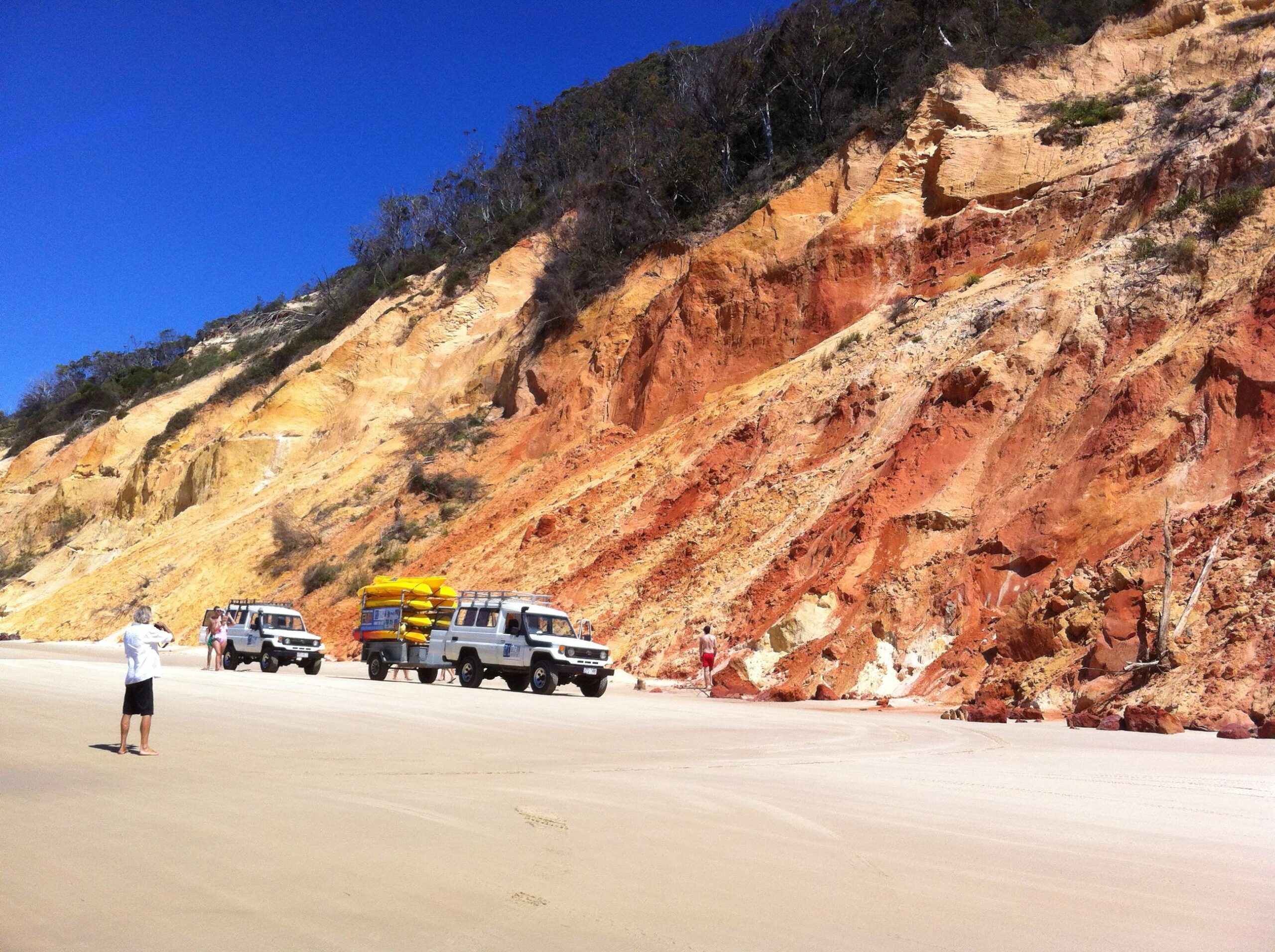 Stand Up Paddle Wildlife Tour & Beach 4x4 Day Trip- Noosa