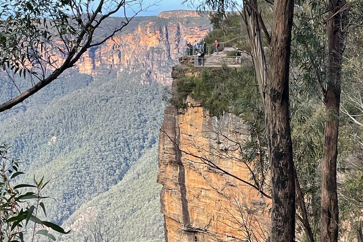 Blue Mountains Wildlife Full-Day Sights and Hiking from Sydney