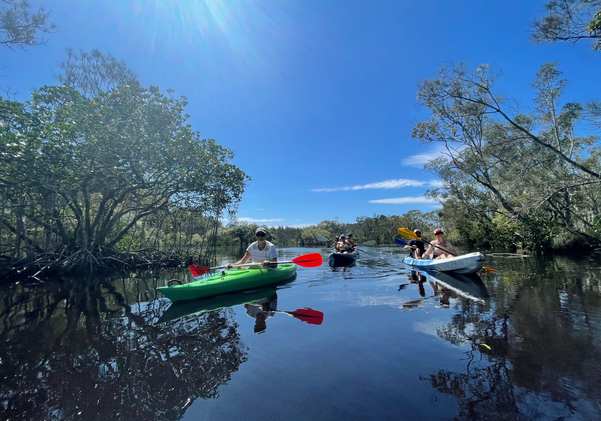 Kayaks & Stingrays: discover hidden creeks whilst spotting Stingrays