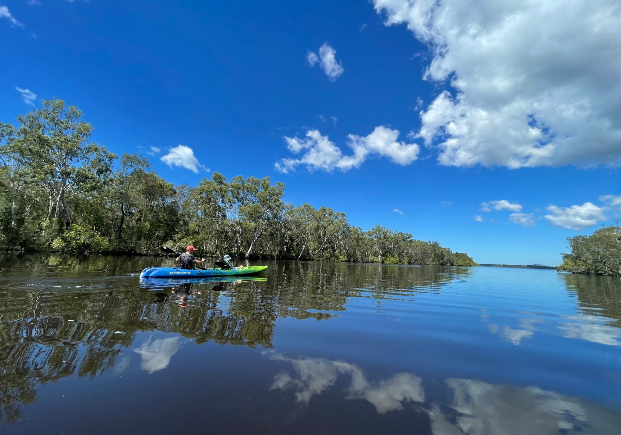 Kayaks & Stingrays: discover hidden creeks whilst spotting Stingrays