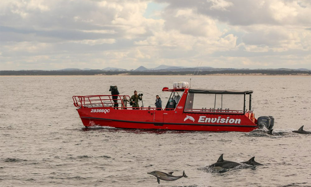 Dolphin Watching and Sailing Cruise Nelson Bay