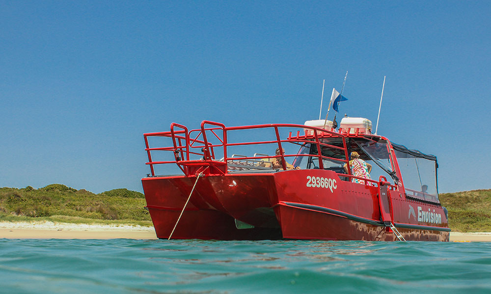 3-Hour Broughton Island Snorkel Cruise