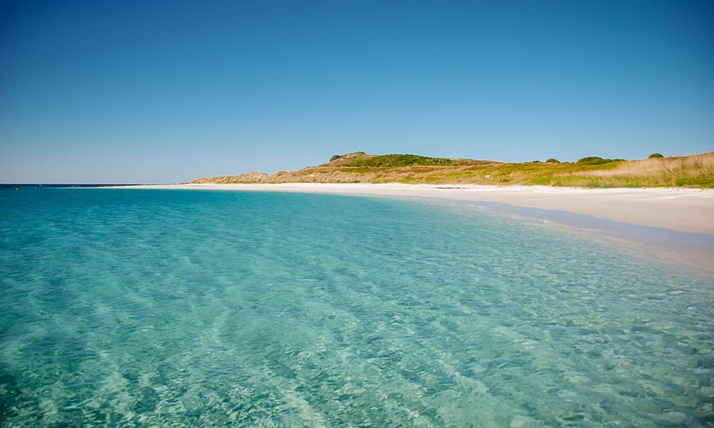 3-Hour Broughton Island Snorkel Cruise