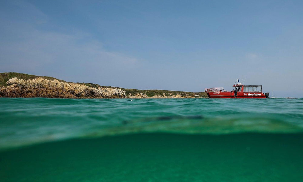 3-Hour Broughton Island Snorkel Cruise