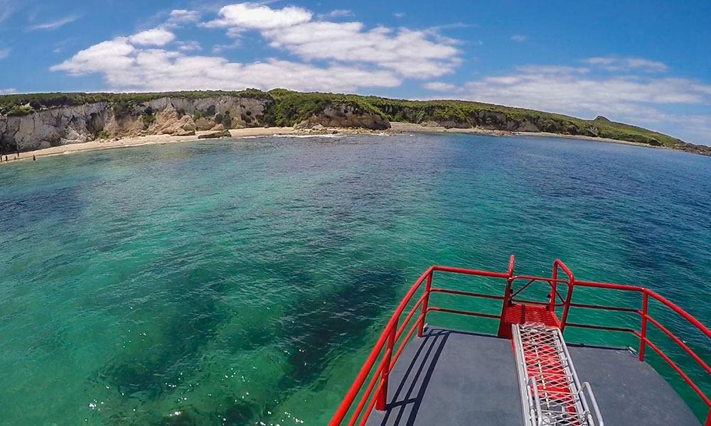 3-Hour Broughton Island Snorkel Cruise