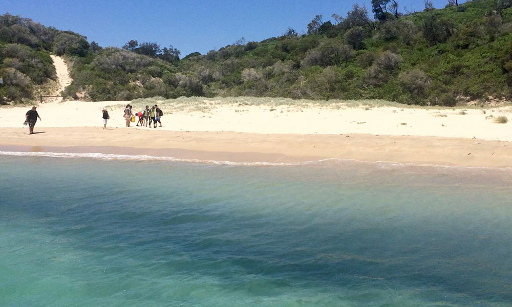 3.5-Hour Fingal Island and Lighthouse Eco Tour