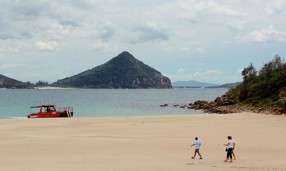 3.5-Hour Fingal Island and Lighthouse Eco Tour